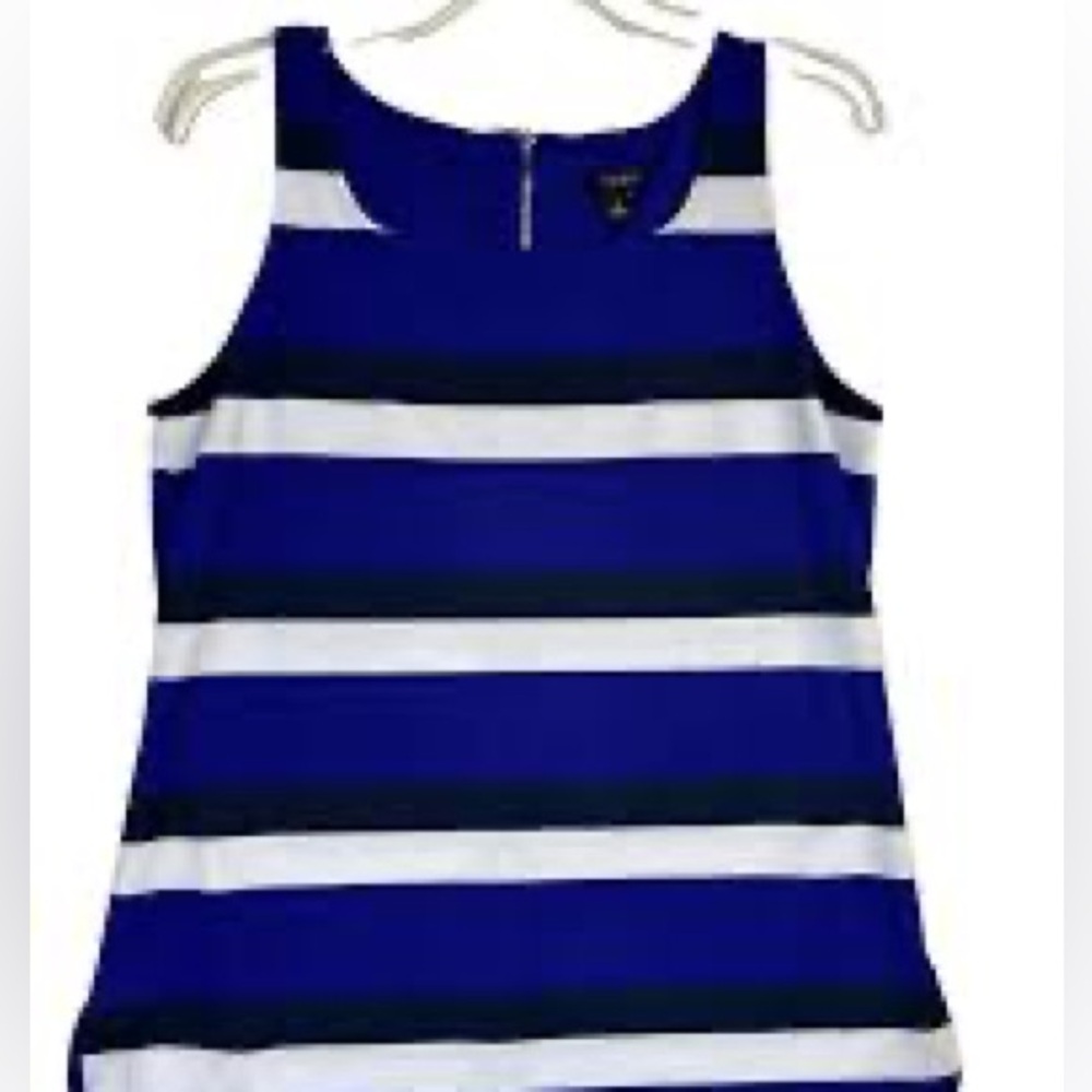 Ann Taylor Blue and White Striped Tank Top